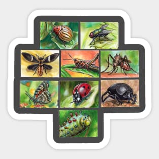 Insects Sticker